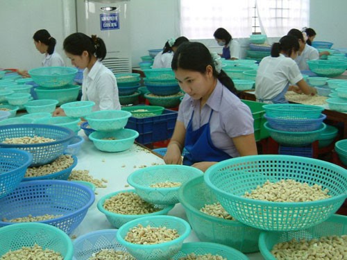 Vietnamesische Unternehmen haben große Chancen auf Zugang zum australischen Markt  - ảnh 1